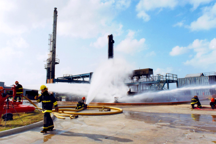 1697183720208.jpg 1697183720208.jpg